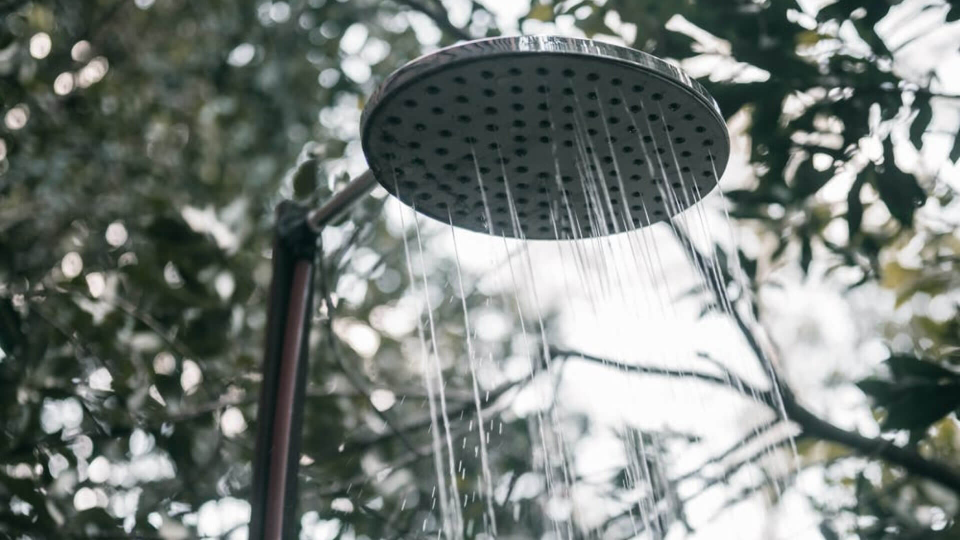 Importance of Rain Shower Head