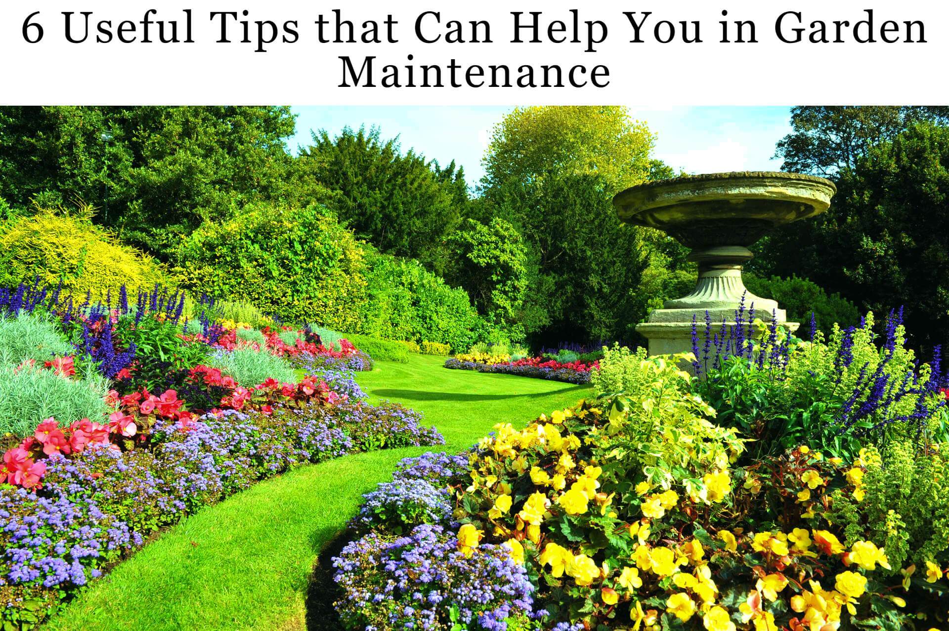 6 Useful Tips That Can Help You In Garden Maintenance