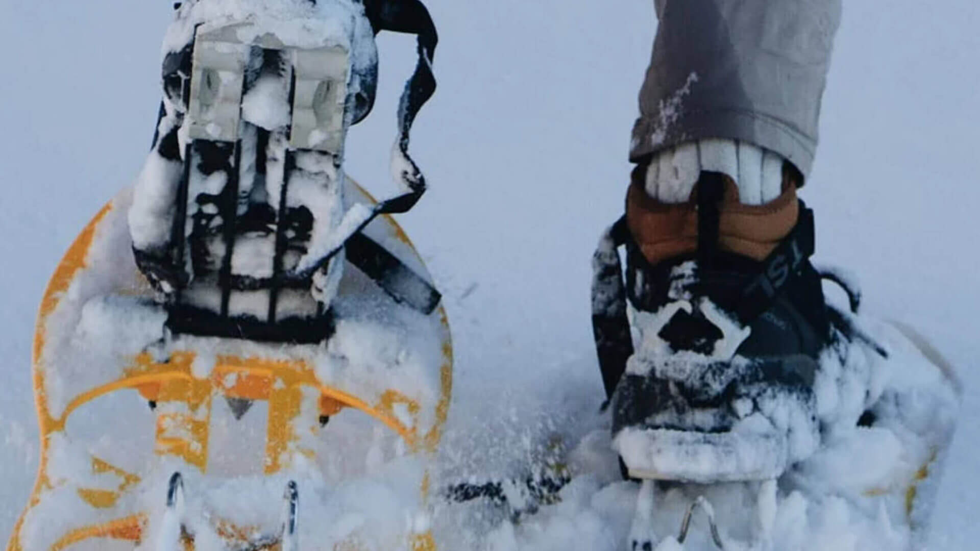 Snowshoeing For Beginners