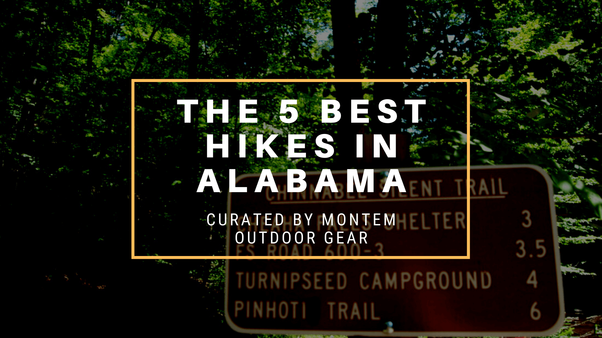 The 5 Best Hikes in Alabama - Montem Outdoor Gear