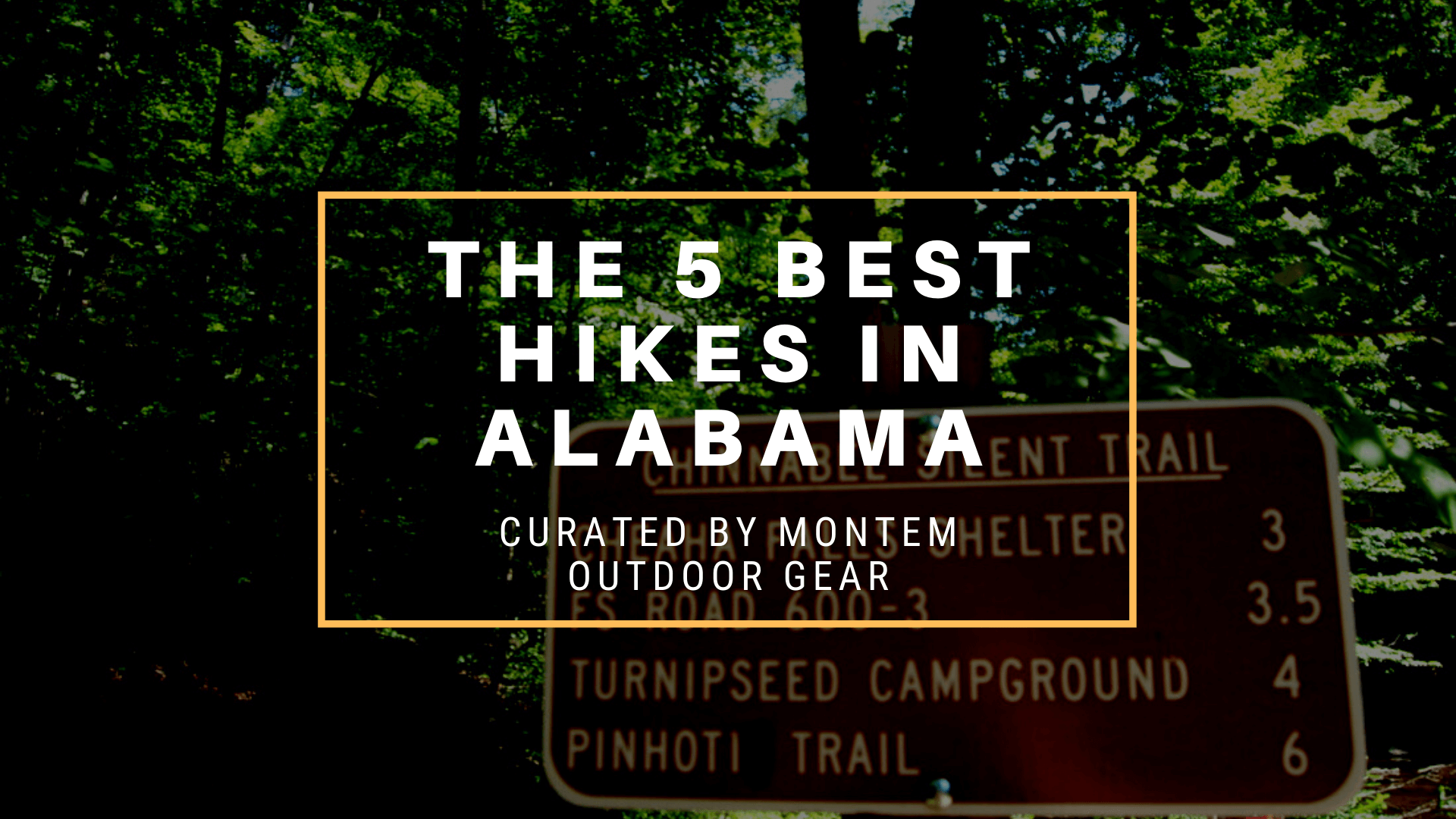 The 5 Best Hikes in Alabama