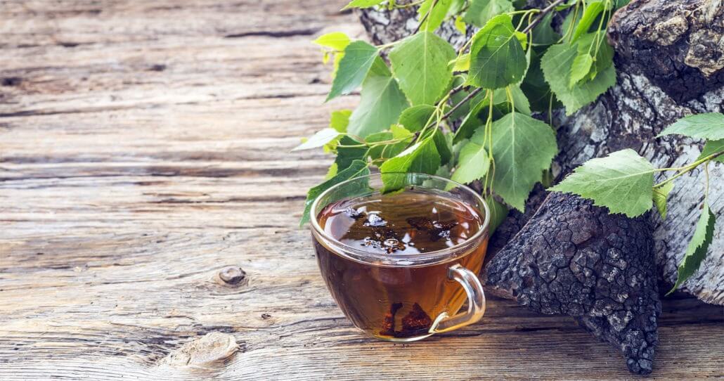 4 Reason You Need To Try The Chaga Tea Right Now