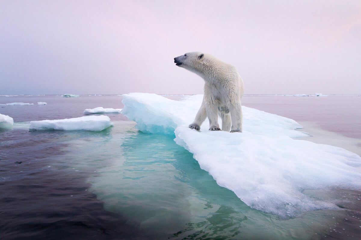 50 Places That Will Be Affected By Global Warming