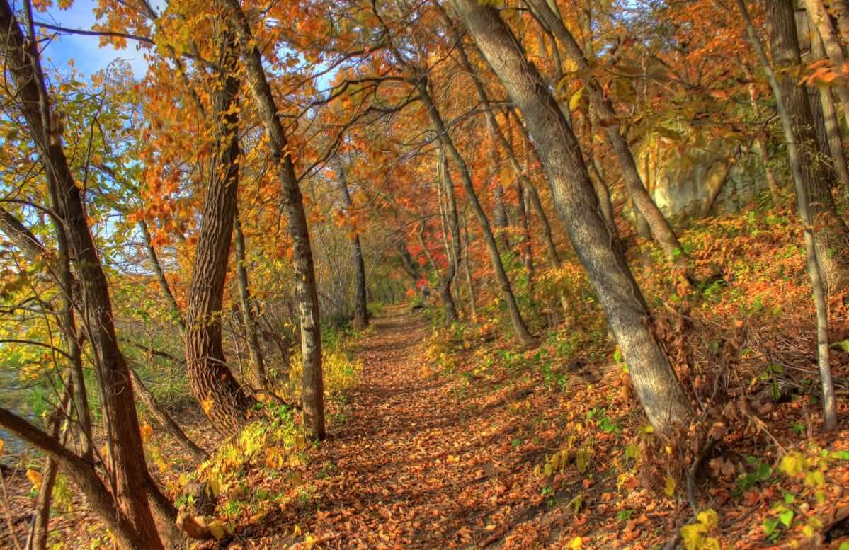 Top 5 Hikes In Wisconsin