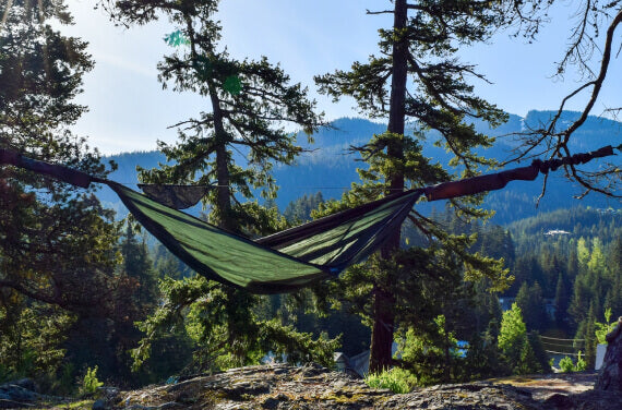 A hammock in the forest.