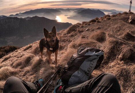 Hiking Backpack Outdoor in front of a Dog.